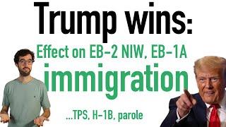 Trump wins: Green cards and immigration