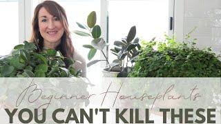 Houseplant Tour! | Top 8 Best Beginner Friendly Indoor Plants