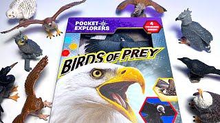 Birds of Prey Collection - Eagle, Hawk, Vulture, Snowy Owl, Great Horned Owl, Albatross Harpy Eagle