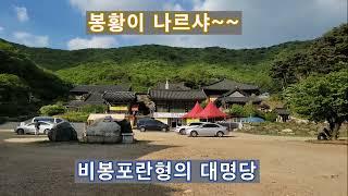 봉황이 알을 품은 자리