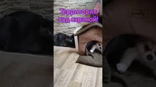 Вроде все на месте!!!