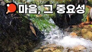 마음,  그 중요성 feat 기적의 자신감 수업, 청림출판, 로버트 앤서니 etc