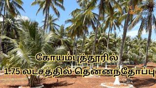 1.75 லட்சத்தில் தென்னந்தோப்பு பண்ணை வீடு  | Low Budget Farm Land Sale in Coimbatore