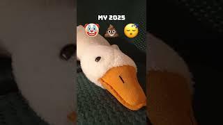 Гусь снял под звук Абоюдно, гусь против и он уже бьёт меня #музыка #music #подпишись #dance
