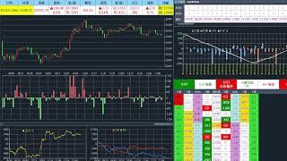 20241106 台指期當沖、選擇權籌碼、即時盤中數據直播