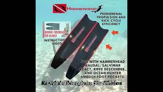 #spearfishing #fins #fiberglass #HammerheadSpearguns #shorts