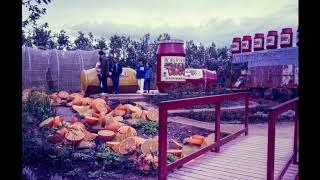 Liverpool Garden Festival 1984