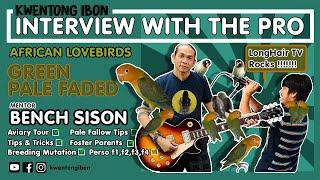 ISANG MATAGUMPAY SA LARANGAN NG PAG AALAGA NG IBON | GREEN PALE FADED | AVIARY TOUR WITH LONGHAIR TV