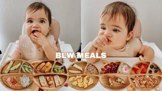 Easy Baby Led Weaning Meals | My Baby's Favorite Foods For Breakfast, Lunch & Dinner