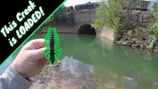 I found SPOTTED BASS Heaven CREEK fishing in Ohio (Nikko Hellgrammite)(Underwater Footage)(New PB!)