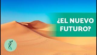 ¿Qué SUPERFICIE tiene el DESIERTO?   (Características, clima, flora y fauna).