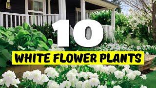 Top 10 BEST White Flower Plants for Your Home! 