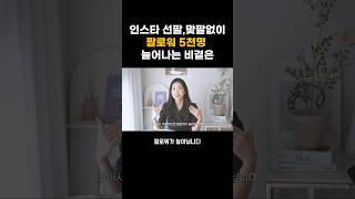 인스타팔로워 하나로 5천명 늘었습니다 #인스타그램 돈버는 법 #팔로워 늘리기 꿀팁