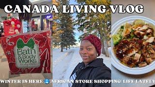 CANADA LIVING: African store shopping | Winter is here| Window shopping at Best buy + Life lately