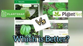 PlantSnap vs PlantNet: Which is Better? - Ann's Tiny Life