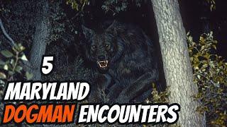 5 Maryland DOGMAN Encounter Stories