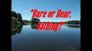 “Sty Stories” – “Bare or Bear, Bathing?”