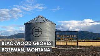 Blackwood Groves | Bozeman, Montana