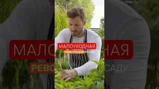 Сделайте САД более НЕПРИХОТЛИВЫМ! 3 ПРОСТЫХ совета