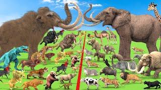 Animal Epic Battle Prehistoric Mammals vs Modern Animals Size Comparison Mammoth MastodonVsElephant