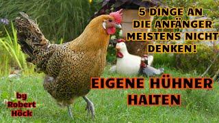 Hühnerhaltung: 5 Dinge an die Anfänger nie denken + Wie viel Platz brauchen Hühner? HAPPY HUHN E369