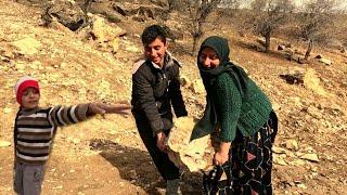 "Zari Gol Empathy: A Symbol of Unity and Empathy in Nomadic Families"