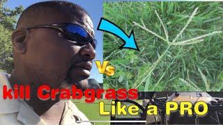 Kill Crabgrass like a Pro! Plus Quinclorac 75 DF