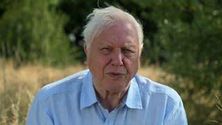 Wildscreen Trailer featuring Sir David Attenborough