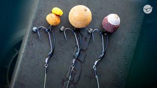 Dieses Rig hakt einfach besser – Paschmanns Spinner Rig für Boilies & Partikel (aus Masterclass)