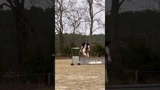 He was so perfect today