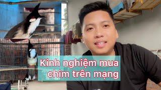 Chia sẻ kinh nghiệm mua chim trên mạng cho ae đam mê / để ae tránh bị lừa .
