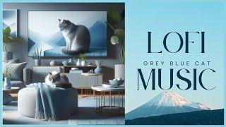 Lofi Grey Blue Cat Music｜Vol.89