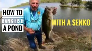 How to bank fish a pond with a Senko
