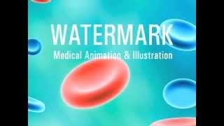 Medical Animation Demo Reel 1 by Watermark