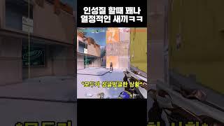 열정적인 인성질
