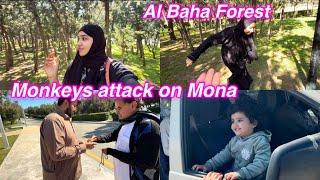 Al Baha Forest | Monkeys attack on Mona | Salma yaseen vlogs