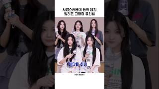 사랑스러움이 듬뿍 담긴 빌려온 고양이 응원법『아일릿』