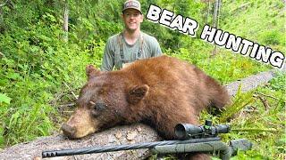 Oregon Spring Bear Hunting - Southbound & Down