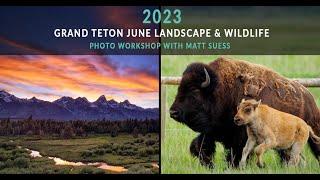 2023 Grand Teton June Landscape & Wildlife Photo Workshop with Matt Suess