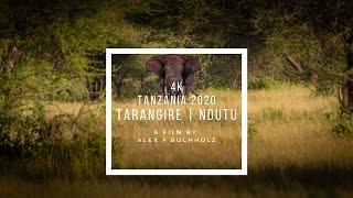 Tanzania Wildlife Safari | A Wildlife Film by Alex F Buchholz