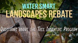  Unlock the Secrets of SNWA's Treebate Program: $100 Per Tree! 