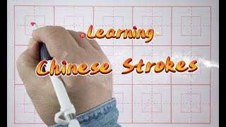 Learning Chinese Basic Strokes #chinese #learningchinese #chinesecalligraphy #chinesestroke