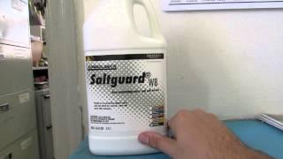 Prosoco Saltguard WB