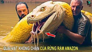 Họ Đã Bắt Được Nó Trong Rừng Amazon Và Không Ai Có Thể Tin Được | T - TOP5