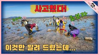 해루질 초보자분께서 또 사고 쳤네! 하나만 알려 드렸는데!!!