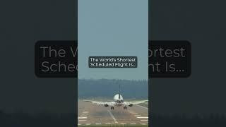 The world’s shortest flight is… #shortsclip #shorts #travel #facts
