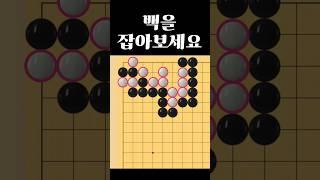 쉬운 바둑 사활 - 이걸 다 잡는 묘수