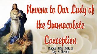 Our Lady of the Immaculate Conception Novena : Day 2 | Who Are You, O Immaculata?