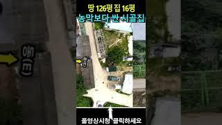 땅 126평 집 16평, 농막보다 싼 시골집이 집값 0원~ 땅값은 시세이하로 몽땅 2,700만원 ~ 3,900만원 인수가능