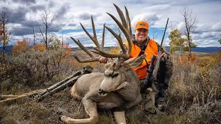 Two Huge Mule Deer Bucks -- Over 400" of Antler!